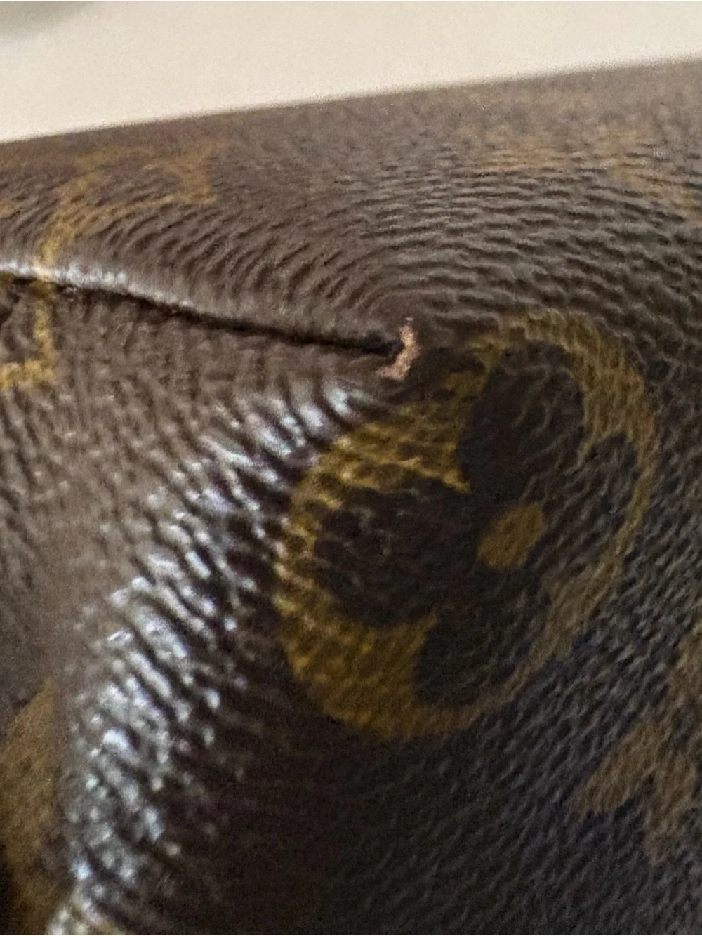 Louis Vuitton Monogram Canvas Cosmetic Bag